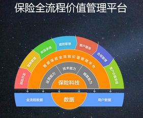 專(zhuān)訪大特保CTO林洪祥 保險(xiǎn)科技賦能B端才是“主賽道”