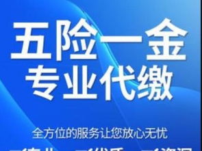 社保代繳補(bǔ)繳、公積金咨詢、個(gè)稅代辦與檔案辦理全方位指南